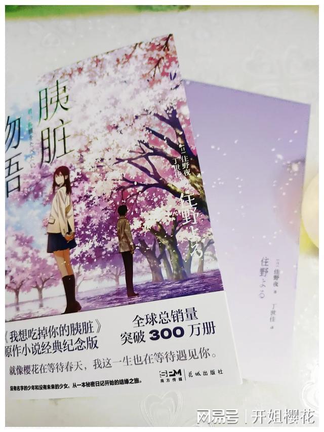 麦克斯：兄弟魔咒
